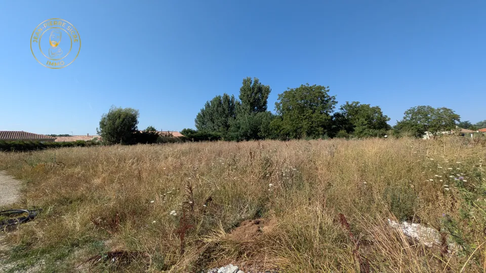 Terrain — photo 2