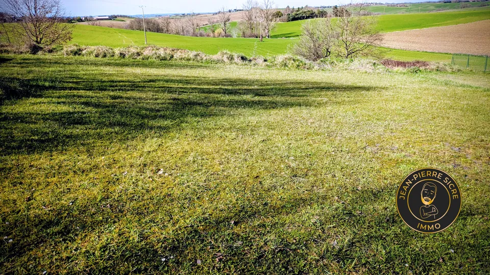 Terrain — photo 1