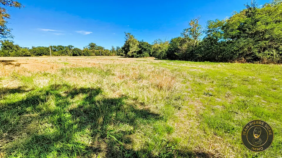 Terrain — photo 3