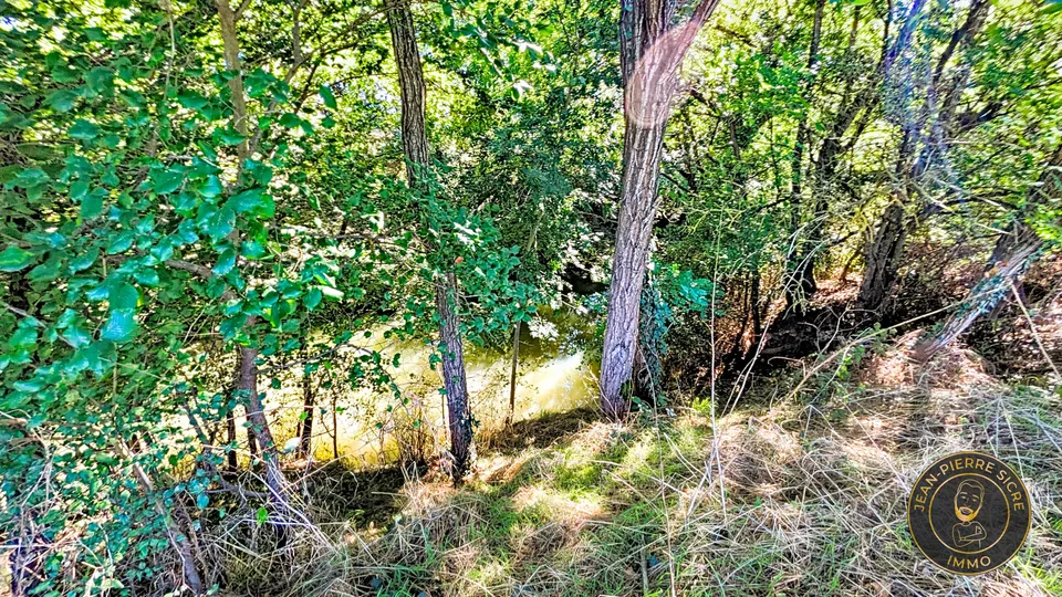 Terrain — photo 5